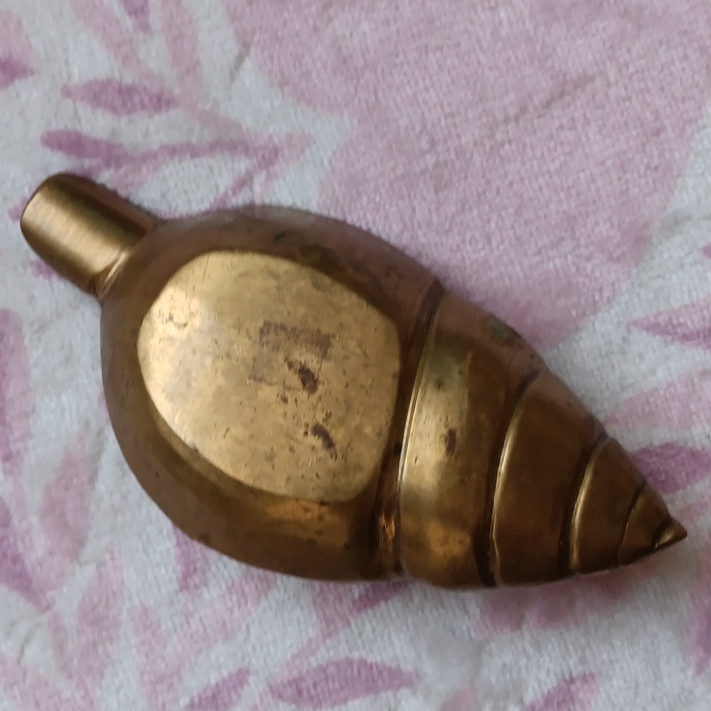 Nautical Sea Shell - Picture 2 of 4